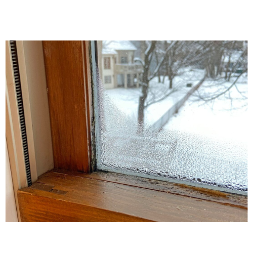 Winterize Home Windows